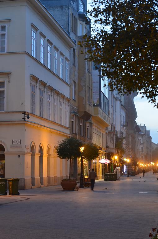 Vaci Street Downtown Apartments Budapest Ngoại thất bức ảnh